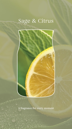 Yankee Candle Sage & Citrus refill for aroma diffusers