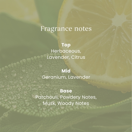 Yankee Candle Sage & Citrus refill for aroma diffusers