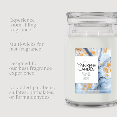 Yankee Candle Silver Birch bougie parfumée