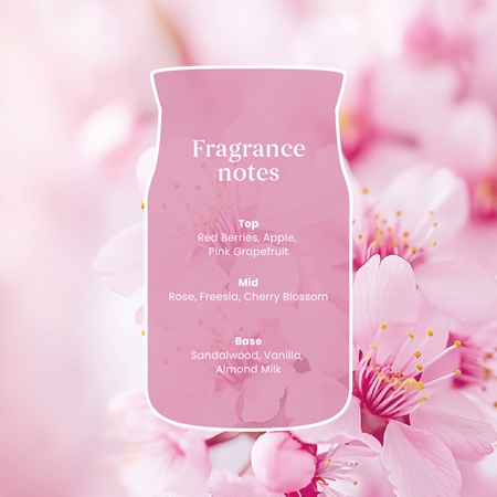 Yankee Candle Enchanting Cherry Blossom Duftkerze