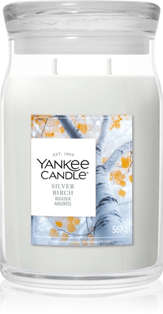 Yankee Candle Silver Birch bougie parfumée