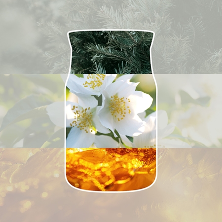Yankee Candle Silver Birch votive candle