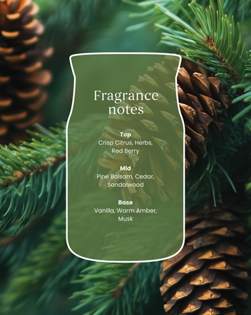 Yankee Candle Balsam & Cedar Fireside Duftkerze