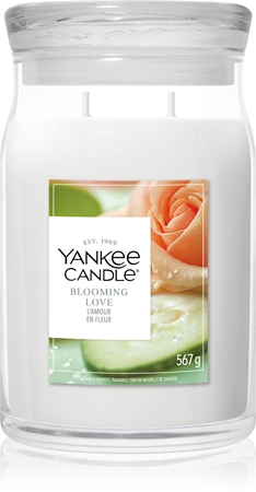 Yankee Candle Blooming Love scented candle