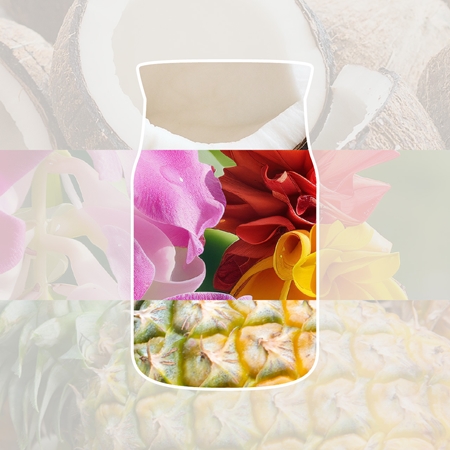 Yankee Candle Coconut Beach scented candle Signature