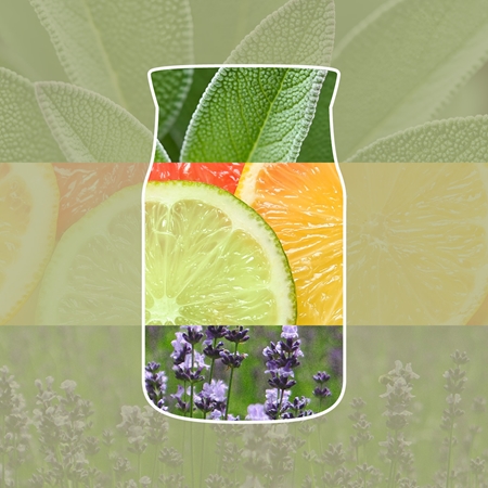 Yankee Candle Sage & Citrus scented candle Signature
