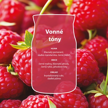 Yankee Candle Red Raspberry vonná svíčka Signature