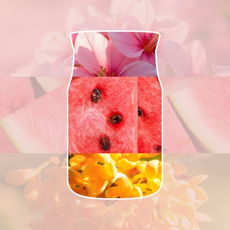 Yankee Candle Pink Sands scented candle Signature