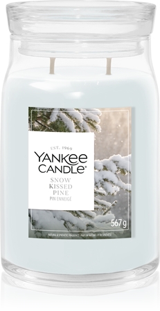 Yankee Candle Snow Kissed Pine Duftkerze