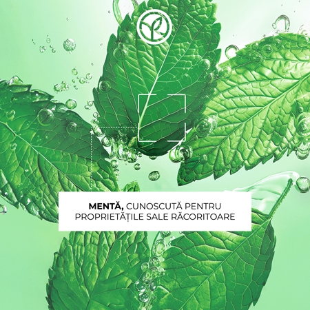 Yves Rocher Pure Menthe exfoliant de curățare