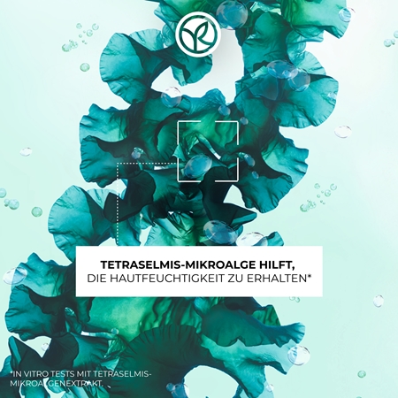 Yves Rocher Pure Algue Gel zum Reinigen und Abschminken mit feuchtigkeitsspendender Wirkung
