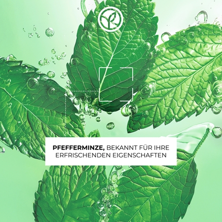 Yves Rocher Pure Menthe sanftes Reinigungsgel mit Peelingeffekt