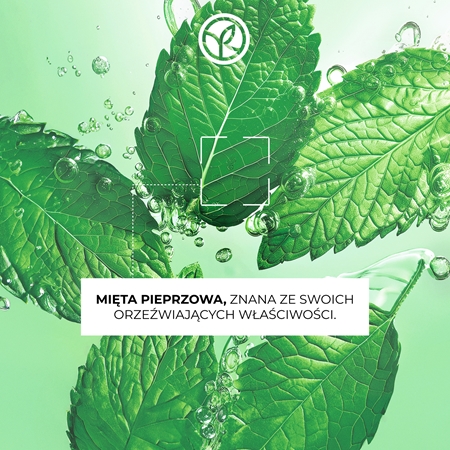 Yves Rocher Pure Menthe żel głęboko oczyszczający