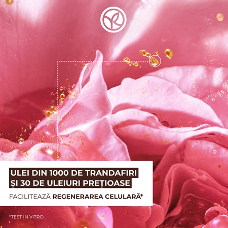 Yves Rocher Riche Créme produse de ingirjire zilnica antirid