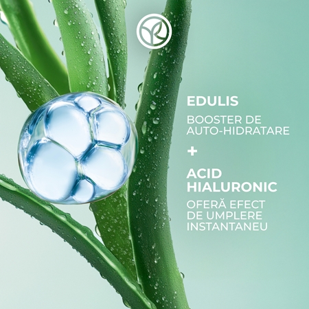 Yves Rocher Hydra Water-Plump gel crema hidratant pentru piele normală și mixtă