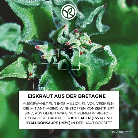Yves Rocher LIFT PRO-COLLAGÈNE Festigendes Serum gegen Falten