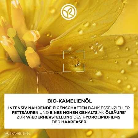 Yves Rocher Nutrition Shampoo mit ernährender Wirkung