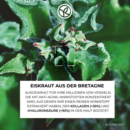 Yves Rocher LIFT PRO-COLLAGÈNE glättende Tagescreme gegen Falten