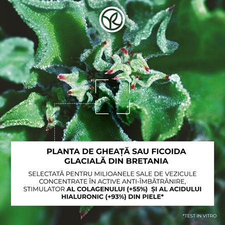 Yves Rocher LIFT PRO-COLLAGÈNE crema de zi pentru netezire antirid