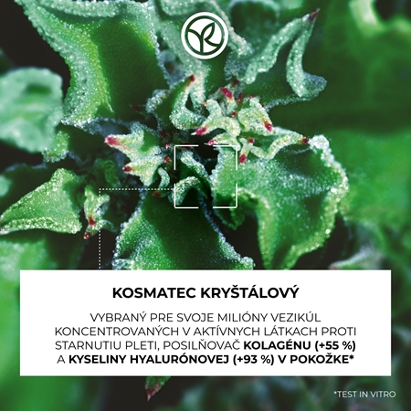 Yves Rocher LIFT PRO-COLLAGÈNE nočný vyhladzujúci krém proti vráskam