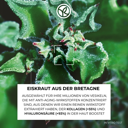 Yves Rocher LIFT PRO-COLLAGÈNE Augenpflege gegen Falten, Schwellungen und Augenringe