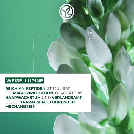 Yves Rocher ANTI-CHUTE Conditioner zur Unterstützung des Haarwachstums