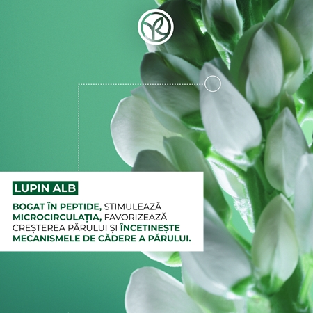 Yves Rocher ANTI-CHUTE balsam stimuleaza cresterea parului