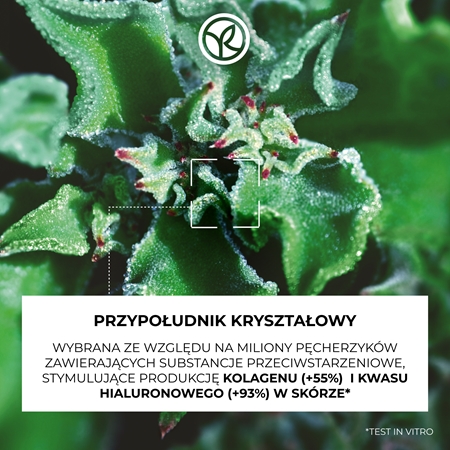 Yves Rocher LIFT PRO-COLLAGÈNE skoncentrowane serum do wygładzenia skóry i zmniejszenia porów
