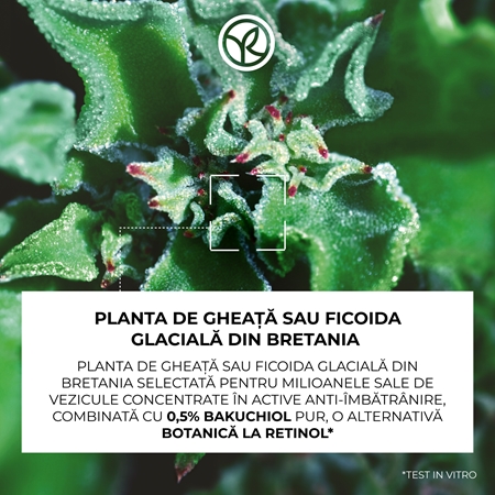 Yves Rocher LIFT PRO-COLLAGÈNE ser concentrat pentru netezirea pielii si inchiderea porilor