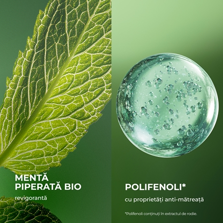 Yves Rocher ANTI-PELLICULAIRE sampon anti-matreata