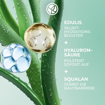 Yves Rocher Hydra Water-Plump feuchtigkeitsspendende straffende Gesichtsmaske tagsüber und nachts