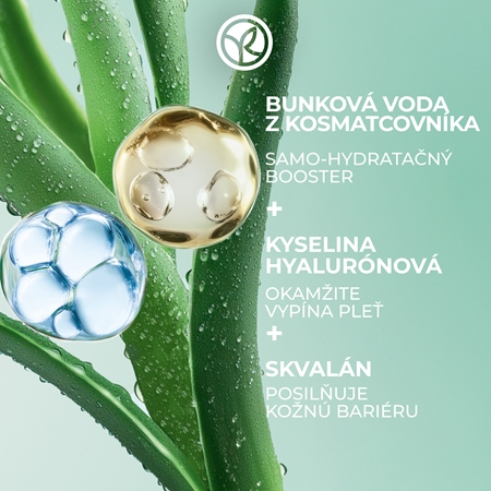 Yves Rocher Hydra Water-Plump hydratačná vyhladzujúca maska na deň aj noc