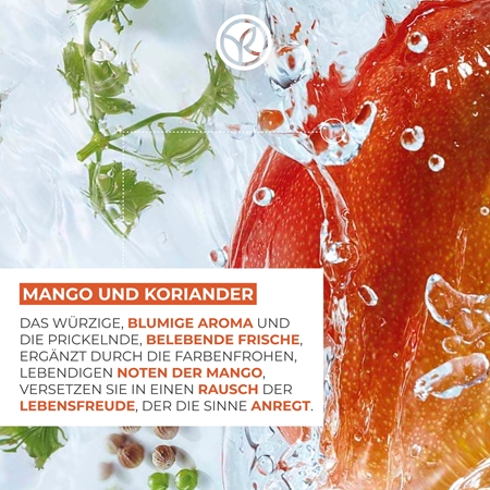 Yves Rocher Bain de Nature Duschgel Ersatzfüllung