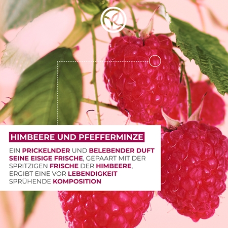 Yves Rocher Bain de Nature parfümiertes Spray für Körper und Haare