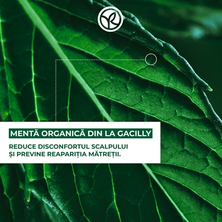Yves Rocher ANTI-PELLICULAIRE tonic anti matreata