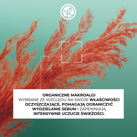 Yves Rocher Pureté odżywka oczyszczająco-detoksykująca