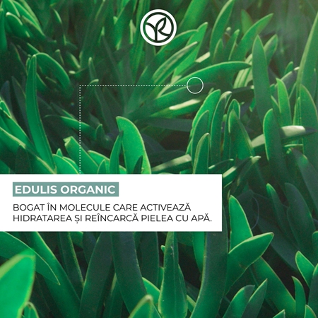 Yves Rocher Hydra Végétal creme intensivo hidratante
