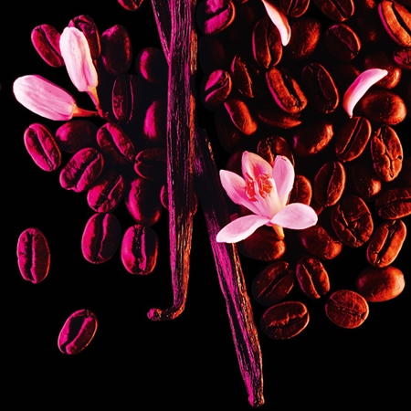 Yves Saint Laurent Black Opium roll-on