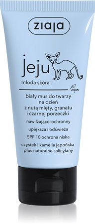 Ziaja Jeju krem głęboko nawilżający do młodej skóry