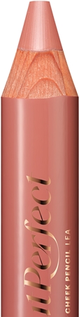 ZOEVA Pout Perfect Lipstick Pencil Stick Lipstick