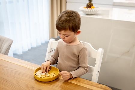 Zopa Silicone Plate Teller