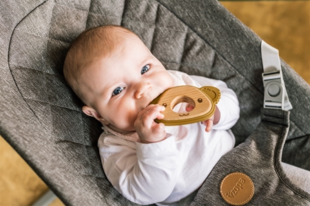 Zopa Silicone Teether Koala гризалка