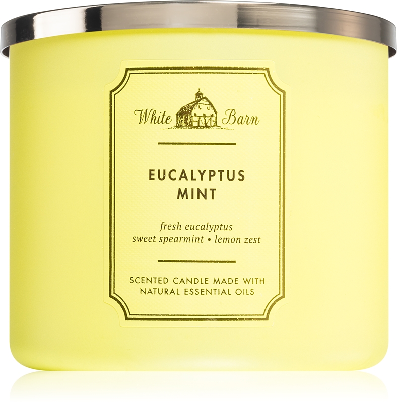 Bath & Body Works Eucalyptus Mint scented candle notino.ie