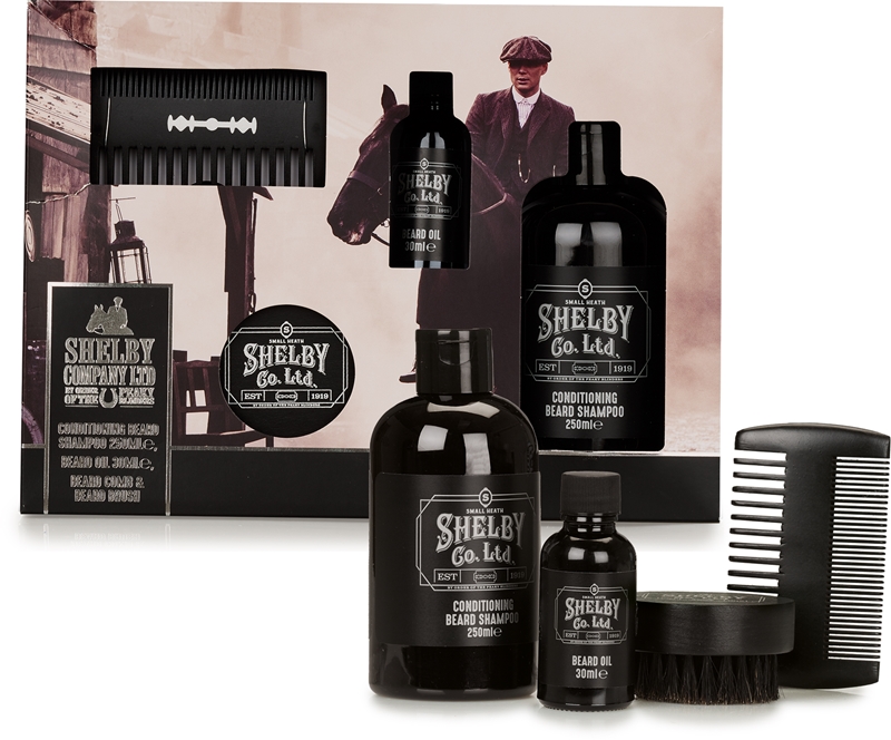BRISK Bartbox Geschenkset – Mit Bartöl, 3in1 Bart-Shampoo & Holzkamm | Für Die Komplette Bartpflege Ohne Duftstoffe