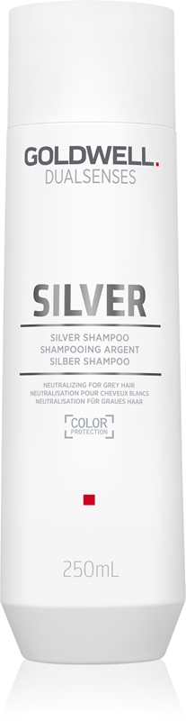 Shampooing pour Cheveux blonds ou gris Goldwell Silver 250 ml main image 0
