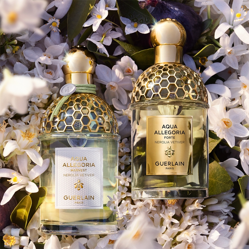 Aqua Allegoria Nerolia Vetiver by Guerlain, 4.2 oz Eau De Toilette Spray for Women main image 0