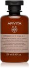Apivita Dandruff Relief Dry Dandruff Dermatological Shampoo Pretblaugznu šampūns sausai un niezošai galvas ādai