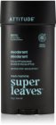 Attitude Super Leaves Men Deodorant dezodorans