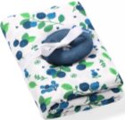 BabyOno Take Care Set Geschenkset Blueberry (für Kinder ab der Geburt)