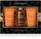 Baylis & Harding Black Pepper & Ginseng dárková sada (na obličej, tělo a vlasy) pro muže